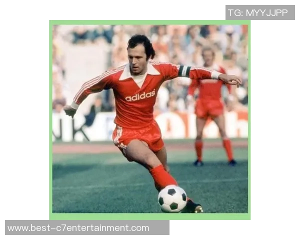 足球明星七号的传奇之路与背后的奋斗故事揭秘